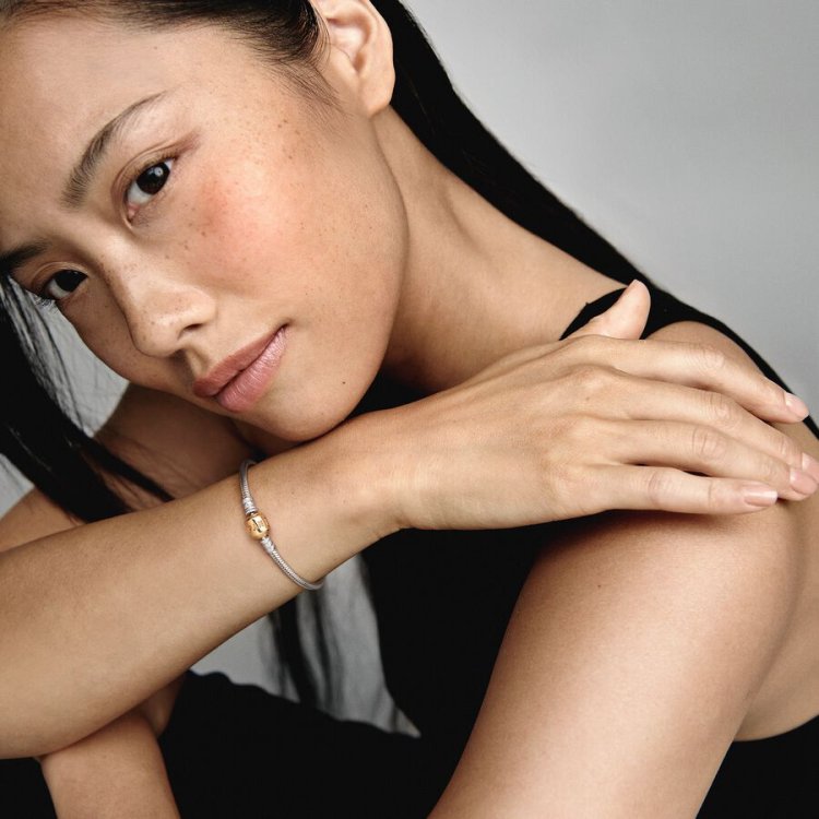 PANDORA MOMENTS Βραχιόλι με δίχρωμη αλυσίδα-φίδι και κυλινδρικό κούμπωμα