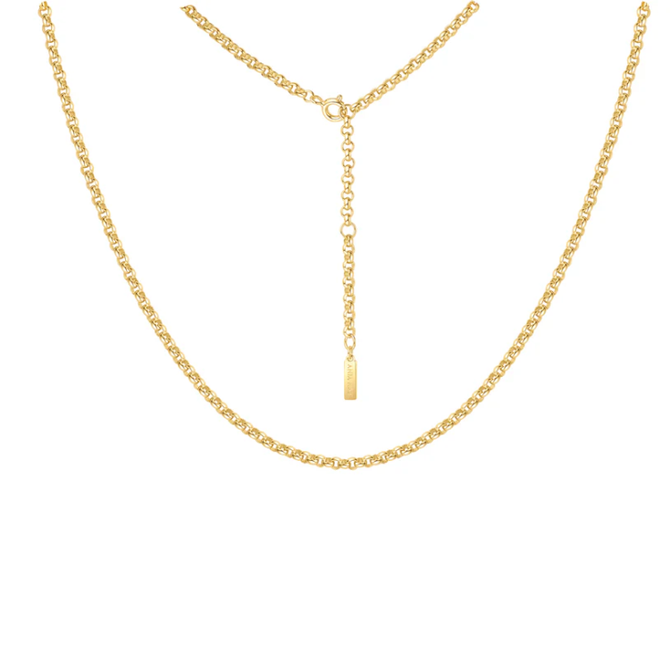 ANIA HAIE Gold Classic Rolo Chain Necklace
