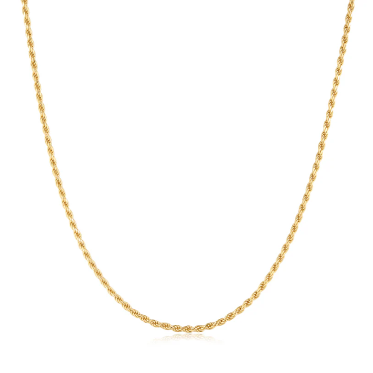 ANIA HAIE Gold Rope Twist Chain Necklace