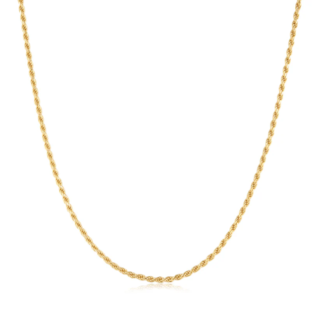 ANIA HAIE Gold Rope Twist Chain Necklace