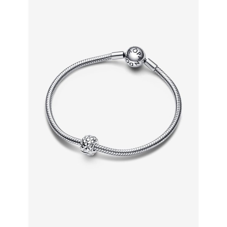 PANDORA MOMENTS Ασημένιο Κλίπ