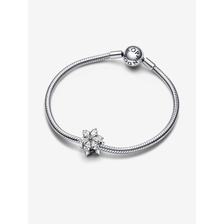 PANDORA ΜΟΜΕΝΤS Σύμβολο Herbarium Λαμπερό Λουλούδι