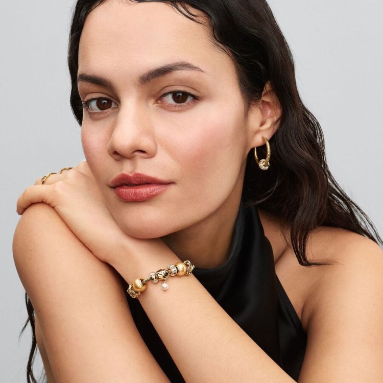 PANDORA MOMENTS Χρυσαφί Σύμβολο