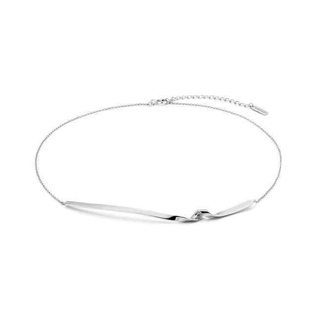 ANIA HAIE Silver Twist Necklace