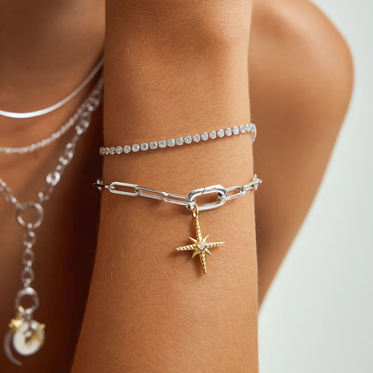 ANIA HAIE Silver Row Bezel Set Bracelet