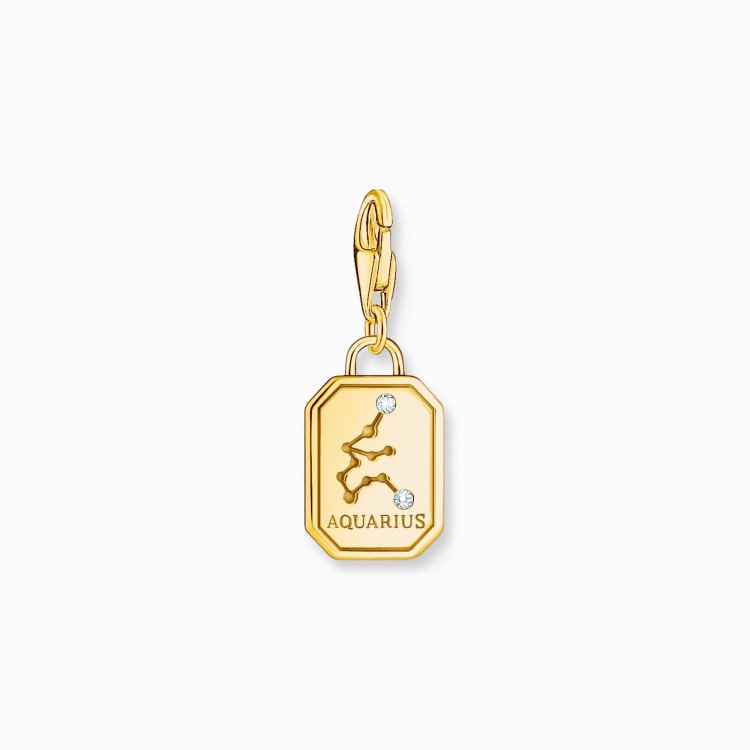 THOMAS SABO Gold-Plated Charm Pendant Zodiac Sign Aquarius with Zirconia 