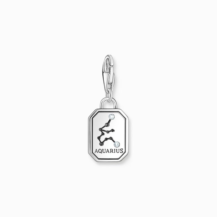 THOMAS SABO Silver Charm Pendant Zodiac Sign Aquarius with Zirconia 